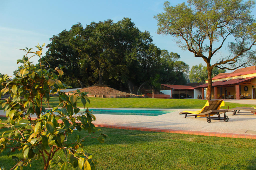 Quinta De Lograssol Villa Mealhada Bagian luar foto